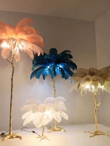 Đèn sàn lông đà điểu Bắc Âu phòng khách phòng ngủ phòng phát sóng trực tiếp không khí trang trí đèn tất cả đèn bằng Đồng hoặc nhựa - Product Image 3