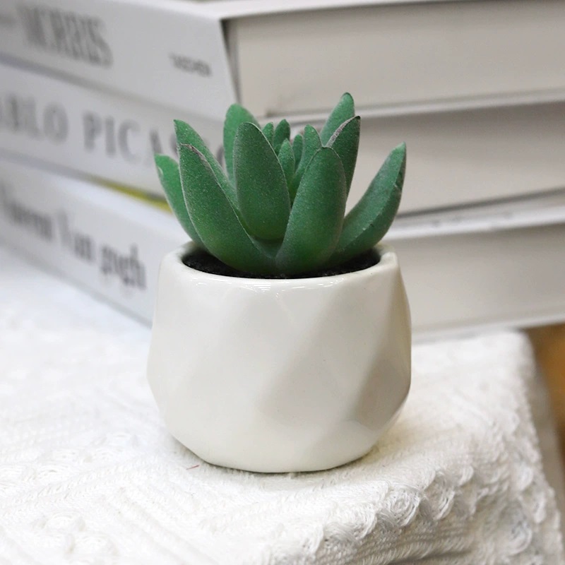 verde 01