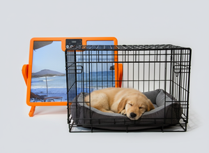 Chauffe-Animal 250W à Infrarouge Lointain en Verre Trempé pour Poulailler, Maison Confortable pour Animaux, Contrôle de Température Réglable, Protection Anti-Renversement - Product Image 2