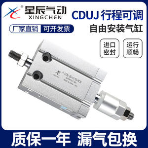 Cylindre pneumatique à montage libre de haute précision Xingchen CDUJ16/25/20/10-30*50*32X40S - Product Image 6