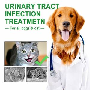 Gocce Naturali per Cani per il Supporto del Tratto Urinario con Mirtillo Rosso per Infezioni della Vescica - Product Image 5