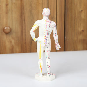 Zhongyan Taihe Acupunctuurtherapie Van Het Traditionele Chinese Geneeskunde Menselijk Puntmodel - Product Image 4