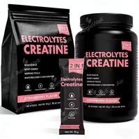 Aeglewell OEM/ODM – Sachets de poudre de boisson pré-entraînement sans sucre, électrolytes et créatine, purement naturels, prix de gros, pour adultes