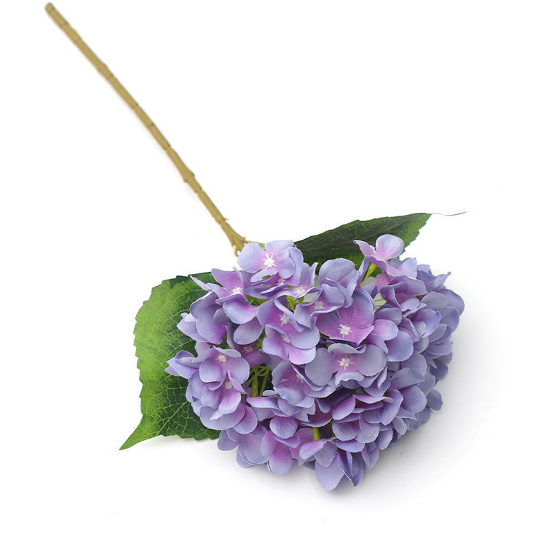 ไฮเดรนเยียแบบสั้น