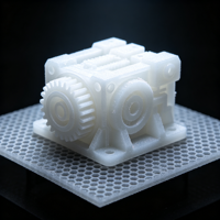 Service d'impression 3D OEM personnalisé en nylon, TPU et métal (SLM, MJF, SLS) résistant à l'usure pour le développement de composants de systèmes de transmission robotisés
