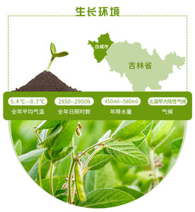 ビーガン協会認定の納豆用乾燥大豆 ビーガンフード 大容量包装 高タンパク質 5kg - Product Image 6