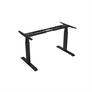Factory Direct Sale Custom Low Price Sit Stand Desk With Wooden Top And Dual Motor Low Noise For Laptop