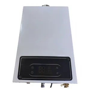 12L Tankless Gas Hot Water Heater Calentador De Agua De Gas