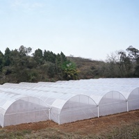 Serre multi-travées en acier galvanisé à chaud GT avec structure de toiture en film plastique pour tomates et légumes