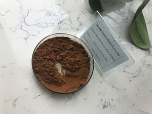 Insen Fornecimento <span class=keywords><strong>Ganoderma</strong></span> Lucidum Extrato Em Pó <span class=keywords><strong>Mycelium</strong></span> 10%-50% Polissacarídeo Reishi Extrato - Product Image 6