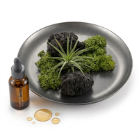 Diffuseur de parfum en roche volcanique botanique, plateau métallique personnalisé, paysage de mousse, ensemble de pierres aromatiques pour huiles essentielles, vente en gros pour la décoration intérieure