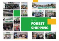 Solutions de services logistiques de magasin en vrac dropshipping rentables pour l'agent d'expédition d'entrepôt Amazon FBA