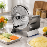 Elektrische Handmatige Schakelende Weegbree Multi Chips Snijmachine Weegbree Bananensnijmachine Bananenchips Maken Machines