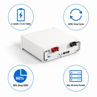 Système de stockage solaire Hope 5.12kWh 51.2V 100Ah LiFePO4 à montage en rack, 6000+ cycles, 98% DOD pour ESS domestique