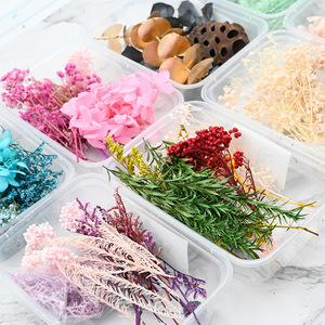 Flor seca DIY Materiales florales Flor eterna Artesanía Decoración para fiesta de boda <span class=keywords><strong>Curso</strong></span> de arte floral Paquete de material artificial - Product Image 1