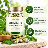 Capsules de poudre de feuilles de Moringa en gros pour la santé articulaire