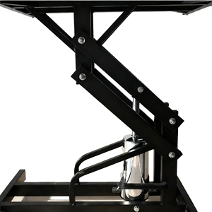 Conjunto de Cuidados para Patas de Cães e Gatos ClearSight em Aço Inoxidável e Ferro, Escovas e Tesouras para Clínicas Veterinárias e Hospitais de Animais - Product Image 5