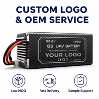 Baterai Drone UAV Densitas Energi Tinggi 6s 120Ah 5C 400Wh/kg Baterai Lithium untuk Pesawat Multirotor VTOL