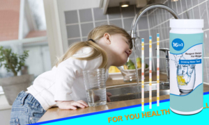 Bộ kiểm tra chất lượng nước gia đình 16 trong 1 cho giếng và thiết bị kiểm tra thị lực nước máy - Product Image 4