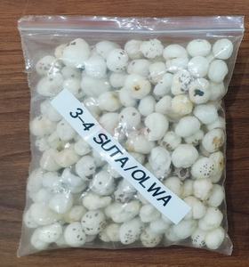 Nueces de Makhana Crudas, 3 Sutas, Tamaño Pequeño de 9 a 10 mm, Makhana India Sin Tostar - Product Image 1