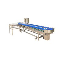 Kehong Automatische Fijne Weegschaal voor Groenten & Fruit met Geluidsarme Sensor & PLC Technologie