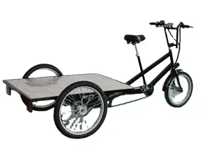 משלוח המטענים Trike אחורי מנוע גדול תיבת מטען תלת אופן bikecargo תלת אופן דוושת אופניים