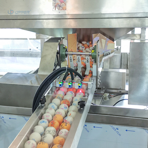 Encartonneuse automatique multi-fonctions pour <span class=keywords><strong>tennis</strong></span> <span class=keywords><strong>de</strong></span> <span class=keywords><strong>table</strong></span>, balles <span class=keywords><strong>de</strong></span> golf, biscuits, aliments, produits chimiques, quincaillerie - Product Image 2