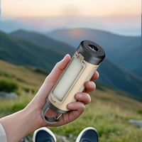 Lampe de camping à 3 feuilles pliable pour l'extérieur étanche IPX4 Portable rechargeable 200 Lumen avec crochet Lampe flash de tente à LED