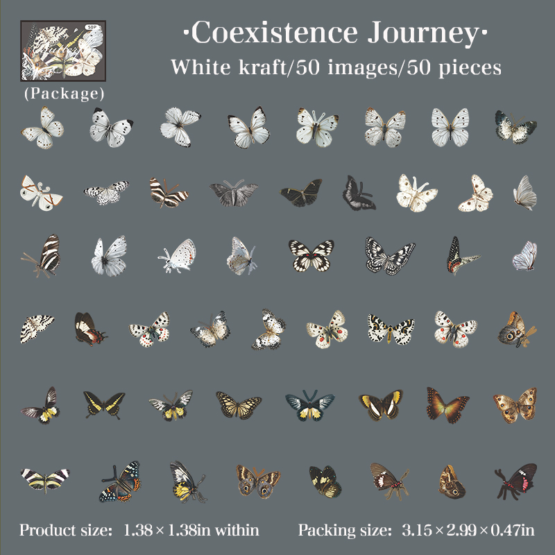 B Journey of Symbiosis