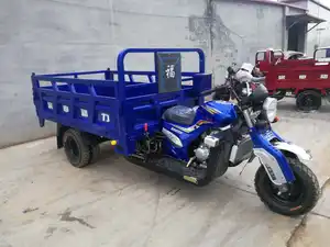 Factory Direct Sales 250cc Tricycle Passenger And Cargo Tricycle Motorcycle Gasoline Fuel 5 Wheel Motorcycle