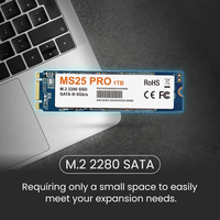 M.2 2280 SSD 1 To Disque dur SATA III 6 Go/S Disque SSD interne pour ordinateur de bureau/ordinateur portable/ordinateur portable