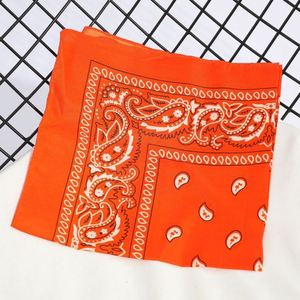 Pañuelo tubular multifuncional promocional al por mayor con logo, gorro tubular sin costuras, bufanda mágica para el cuello, pañuelo tipo bandana, venta al por mayor - Product Image 1