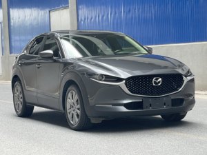 <span class=keywords><strong>2021</strong></span> <span class=keywords><strong>Mazda</strong></span> sedán/AWD SUV envío rápido <span class=keywords><strong>precio</strong></span> competitivo luz Interior 4L motor R16/R18 neumáticos asientos de cuero trasero izquierdo - Product Image 2