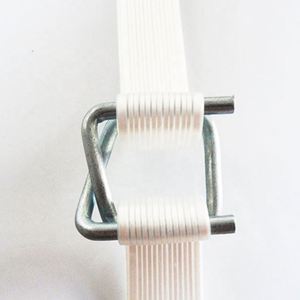 Cordón Correas compuestas Poliéster <span class=keywords><strong>Pet</strong></span> Pallet Embalaje Plástico Acero Flejes Rollos Tiras Banda Cinta Correa Cinturón para embalaje - Product Image 5