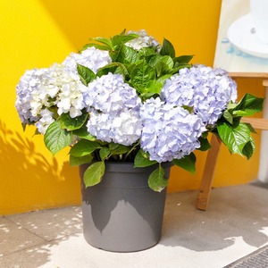 Jardinière en plastique durable, de haute qualité, écologique, moderne et minimaliste avec flux <span class=keywords><strong>d</strong></span>'air amélioré pour l'extérieur, le jardin et l'intérieur. - Product Image 3