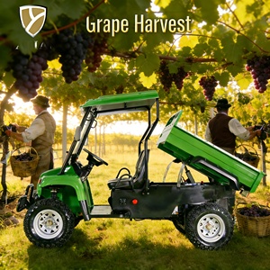 Veicolo Utilitario UTV Fuoristrada Elettrico Certificato CE per Trasporto Vendemmia in Vigneto e Lavori Agricoli - Product Image 4