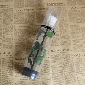 ดอกกุหลาบอบแห้งขนาด 8*8*30 ซม. ในกล่องของขวัญ PVC ดอกกุหลาบคงสภาพตลอดกาล ของขวัญวันวาเลนไทน์ - Product Image 4