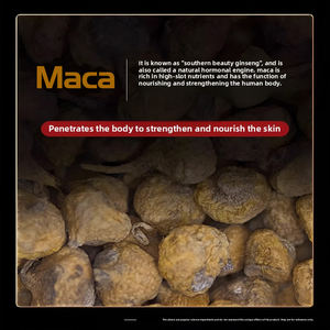 OEM Aangepaste Puur Natuurlijke Planten Geen Bijwerkingen ISO Gecertificeerde Snelwerkende Pil voor Mannen Epimedium Zwarte Maca Capsules voor - Product Image 3