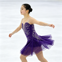 Robe de patinage artistique pour enfants et adultes, violet foncé, tissu en maille, manches longues, strass, jupe en tulle fluide pour la compétition et la performance