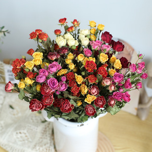 Ramo de Pétalos de Rosas Silvestres Secas de Yunnan, Materiales Florales para DIY, Decoración del Hogar, Accesorios para Fotografía, Adornos, China - Product Image 3