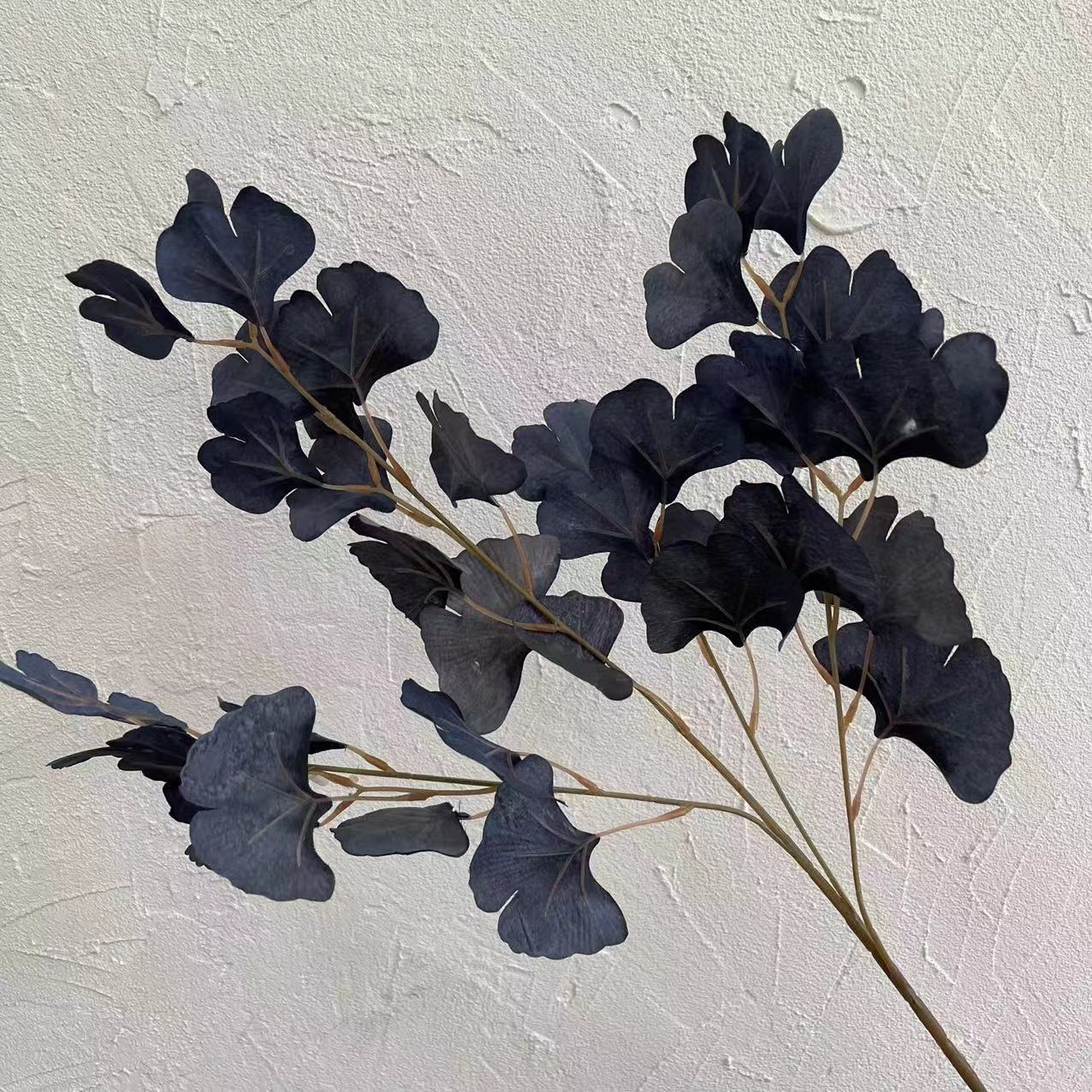 #6 feuilles de ginkgo biloba
