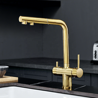Robinet mélangeur de cuisine en laiton multicolore de haute qualité, 3 voies, double poignée, avec cartouche céramique et filtre à eau intégré - Offre Spéciale