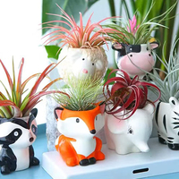 Berbentuk kartun Pot sukulen kecil pemegang tanaman udara Pot hewan Mini lubang drainase tanaman udara Tillandsia pemegang untuk tanaman Mini