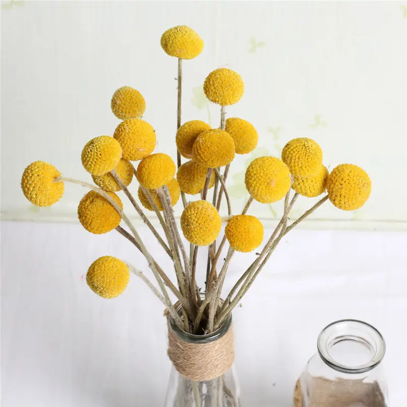 Ychon 2024 nueva llegada amarillo Artificial Billy Ball flores secas Flor de vida eterna para el hogar boda otoño decoraciones