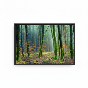 Printed Canvas: Forest Landscape Wall Art in Tempered Glass Design,<b>BLACK</b> <b>FRAMED</b> CANVAS - Product Image 2