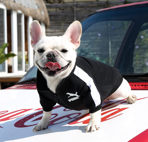 Nome do designer Marca Zipper Tides Pet Roupas para Bichon French Bulldog Dog Suplemento Sweater Letter Printing Luxury <span class=keywords><strong>Clothing</strong></span> - Product Image 6