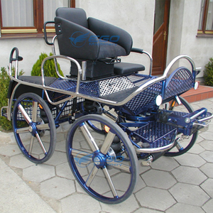 Carruaje Eléctrico con Caballos, Transporte Especial, Carruaje de Caballos con 4 Ruedas - Product Image 3