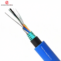 Câble à fibres optiques multimode MGTSV, structure torsadée A1a/A1b, gaine bleue PE, entièrement étanche, 2 à 144 fibres, bande en aluminium