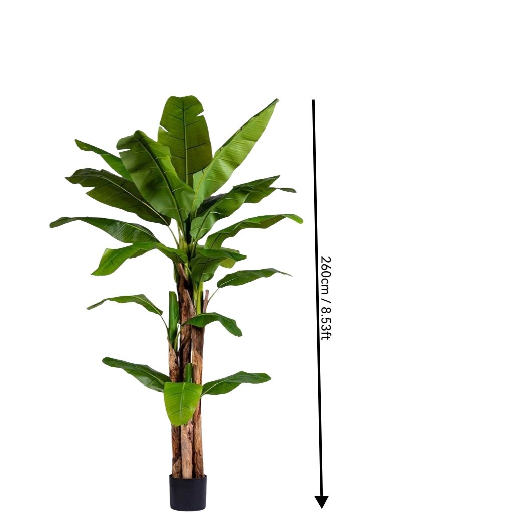 Vert 8,53 pieds/260 cm