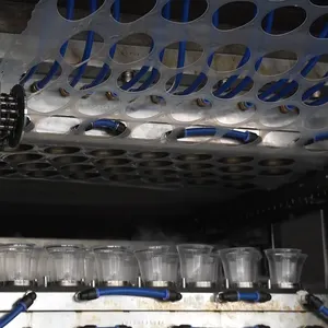 Máquina de servoaccionamiento completamente automática para hacer taza de tapa de plástico desechable de tamaño pequeño